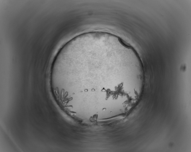 X0000102021525200808081736