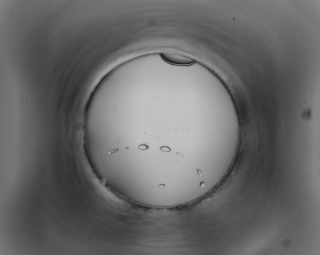 X0000102021526200808081736