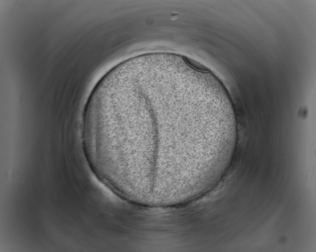 X0000102021527200808081736
