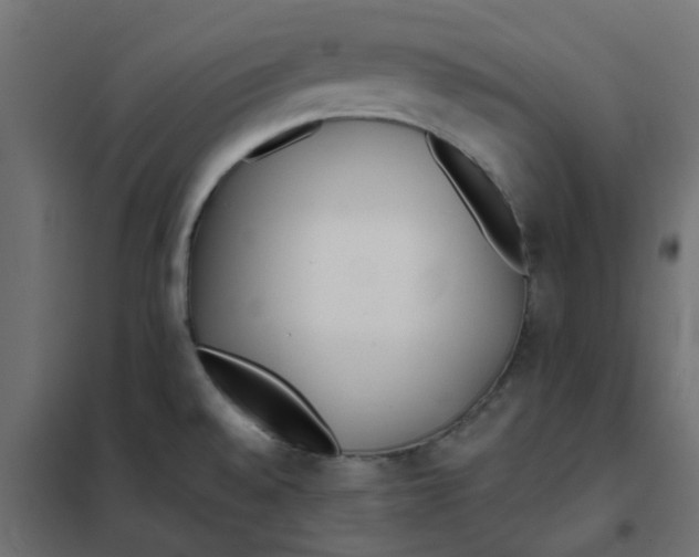 X0000102021528200808081736