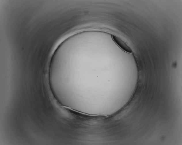 X0000102021530200808081736
