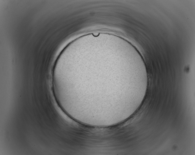 X0000102021531200808081736