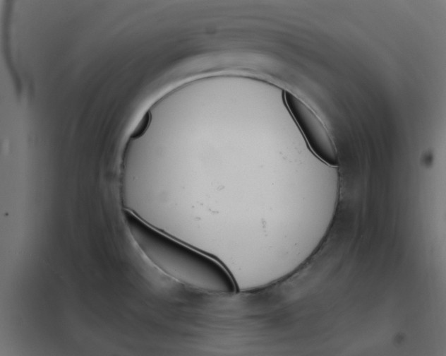 X0000102021532200808081736