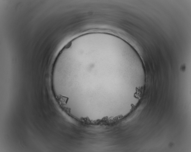 X0000102021533200808081736