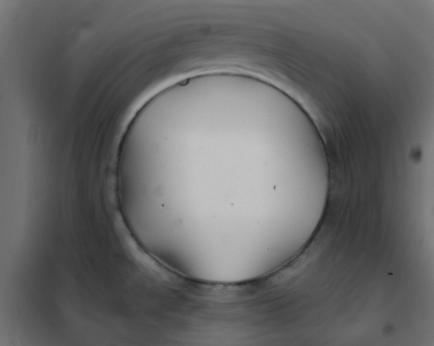 X0000102021534200808081736