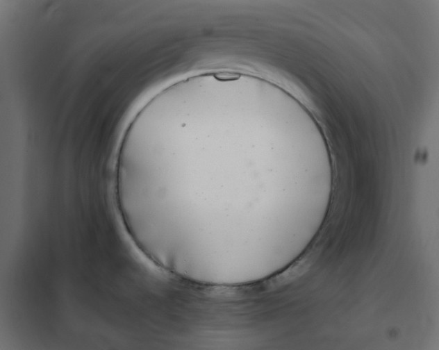 X0000102021536200808081736