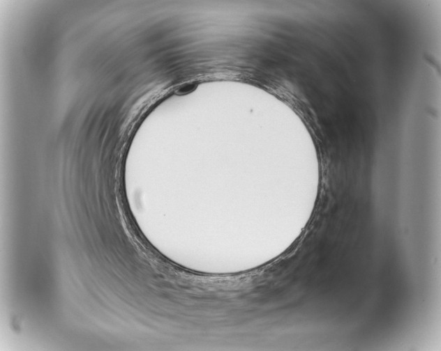X0000102020001200808151327
