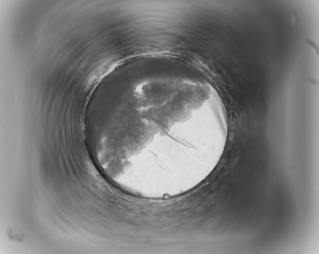 X0000102020002200808151327