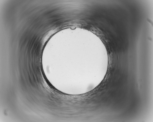 X0000102020003200808151327