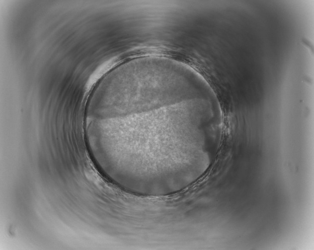 X0000102020004200808151327