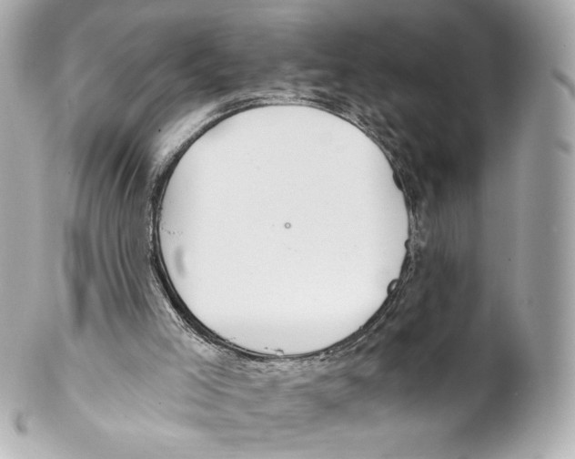 X0000102020005200808151327