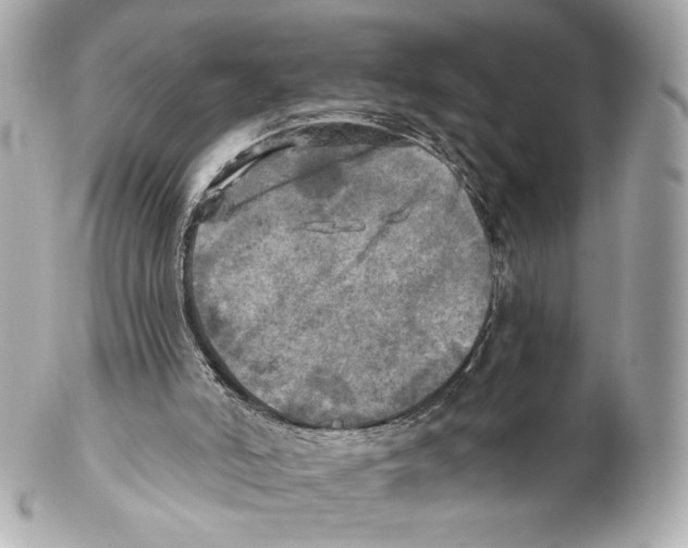 X0000102020006200808151327