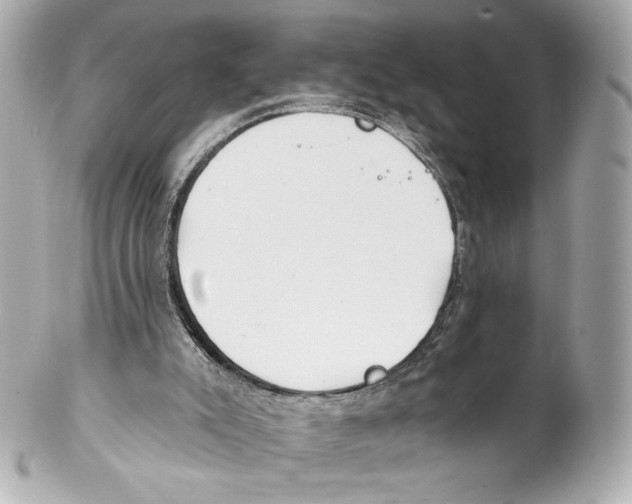 X0000102020007200808151327