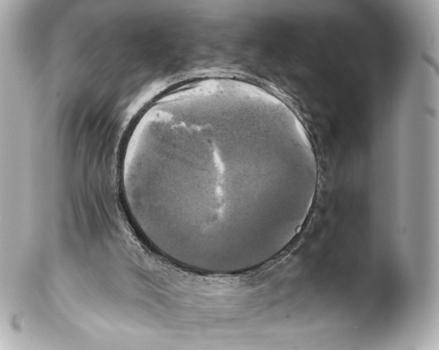 X0000102020008200808151327