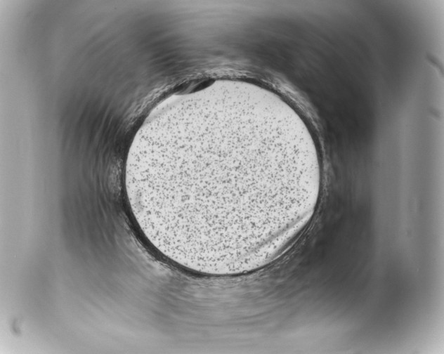 X0000102020009200808151327