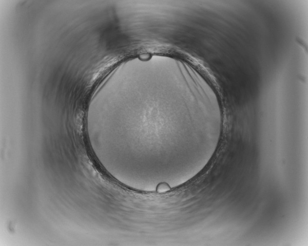 X0000102020010200808151327