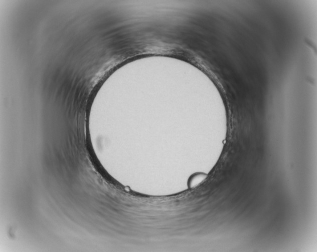 X0000102020011200808151327