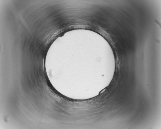 X0000102020013200808151327