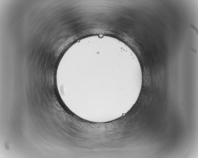 X0000102020015200808151327