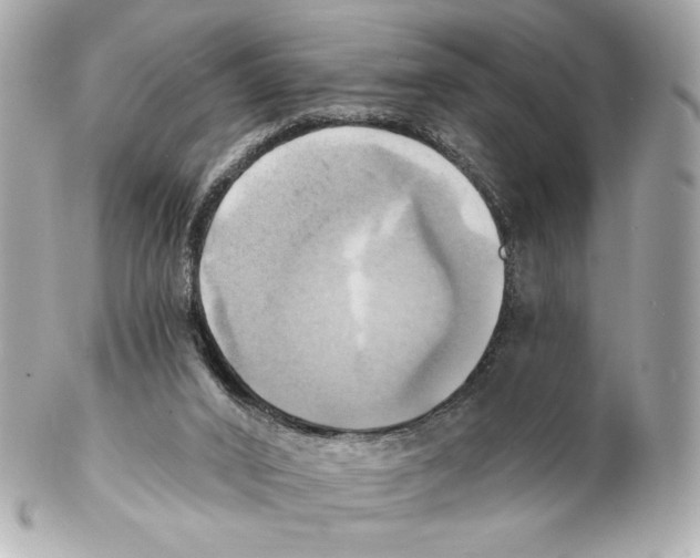 X0000102020016200808151327