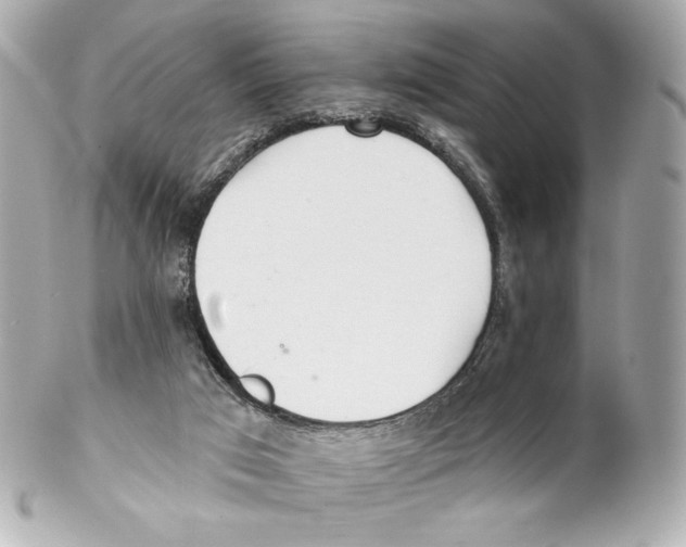 X0000102020017200808151327