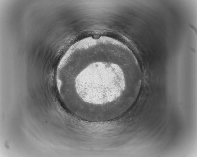X0000102020018200808151327