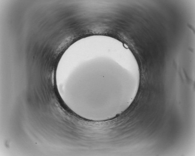 X0000102020019200808151327