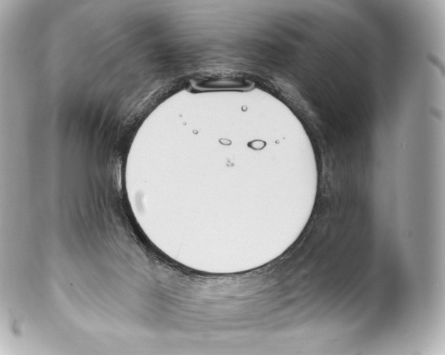 X0000102020021200808151327