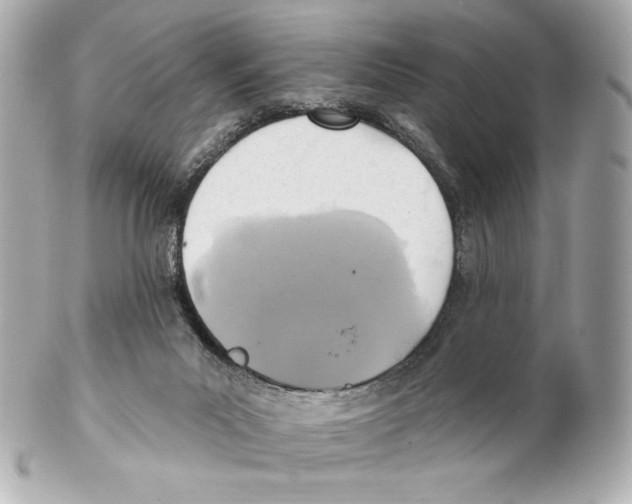 X0000102020023200808151327