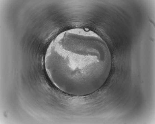 X0000102020024200808151327