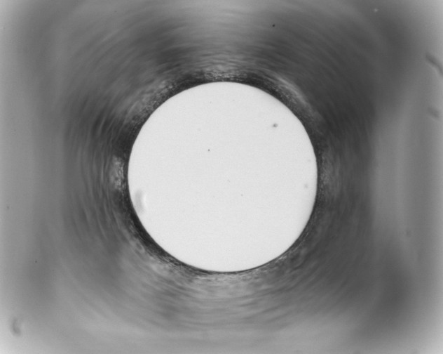 X0000102020025200808151327