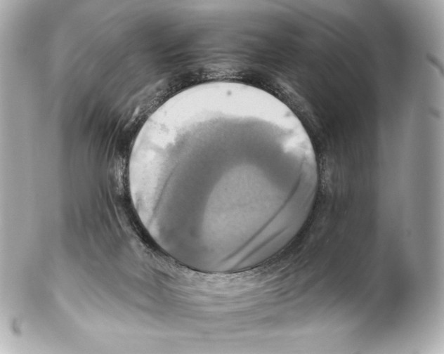 X0000102020026200808151327