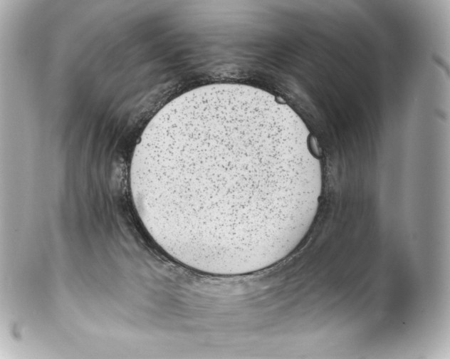 X0000102020029200808151326