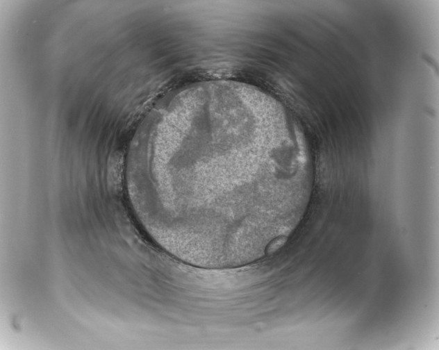 X0000102020030200808151326