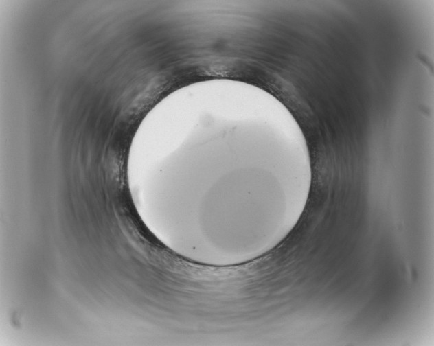 X0000102020031200808151326