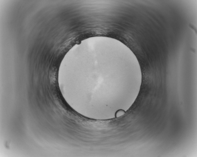 X0000102020032200808151326