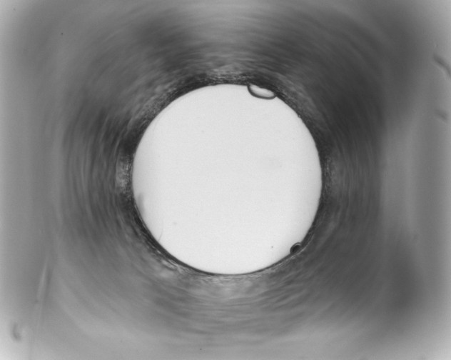 X0000102020033200808151326
