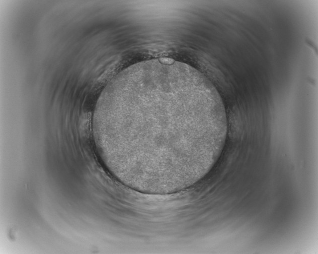 X0000102020034200808151326