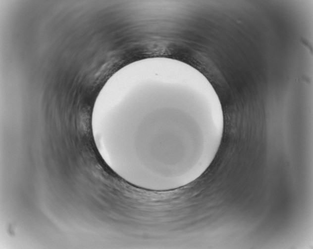 X0000102020035200808151326