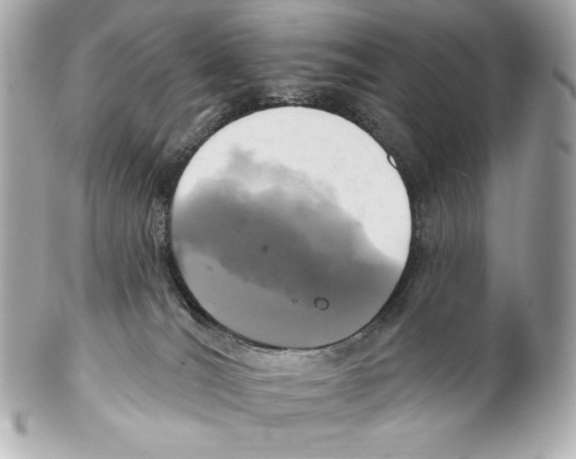 X0000102020036200808151326