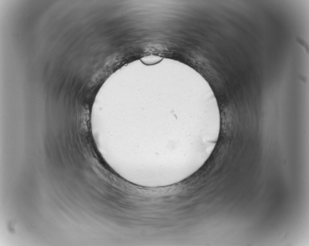 X0000102020038200808151326