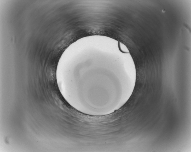X0000102020039200808151326