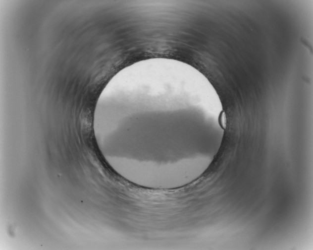 X0000102020040200808151326