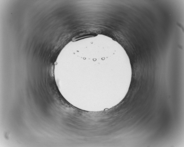 X0000102020041200808151326