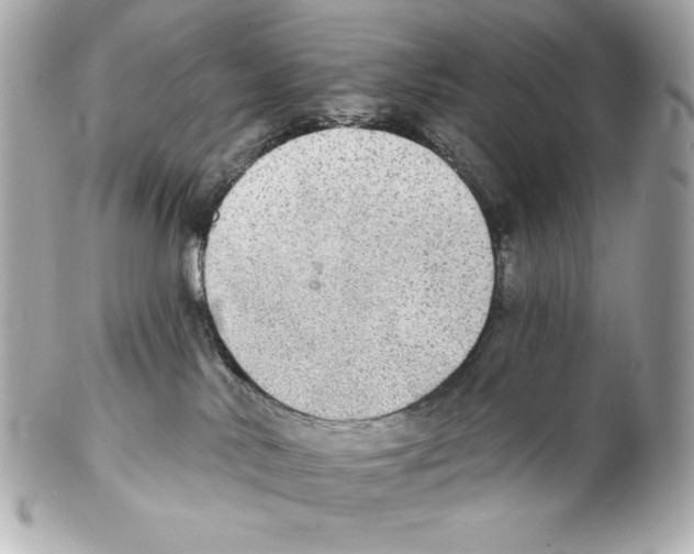 X0000102020042200808151326