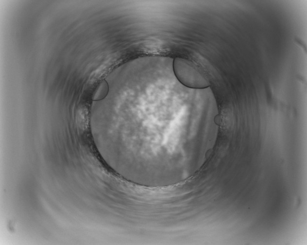 X0000102020043200808151326