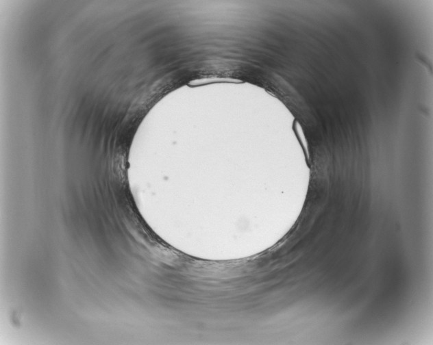 X0000102020045200808151326