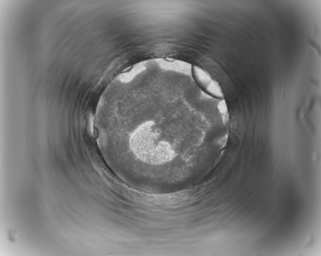 X0000102020046200808151326
