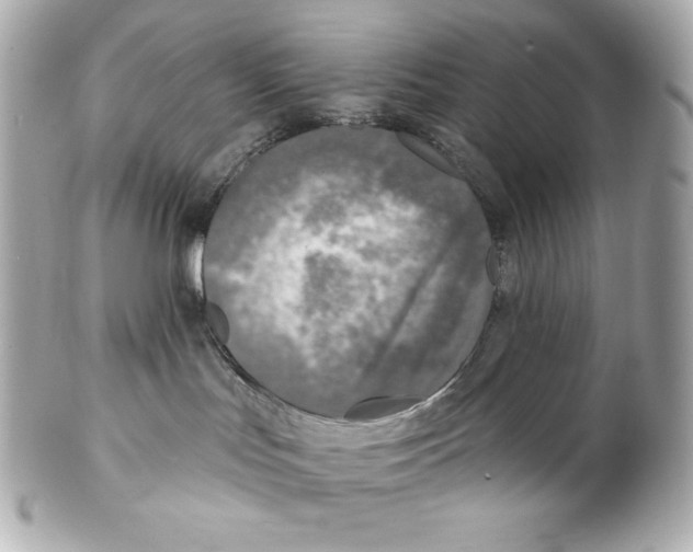 X0000102020047200808151326
