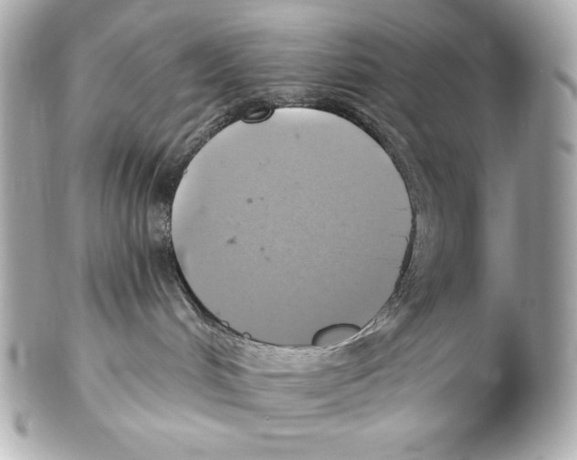 X0000102020048200808151326